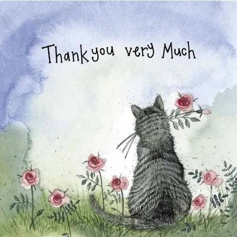 Sunshine Cat Thank You - Alex Clarke Mini Card