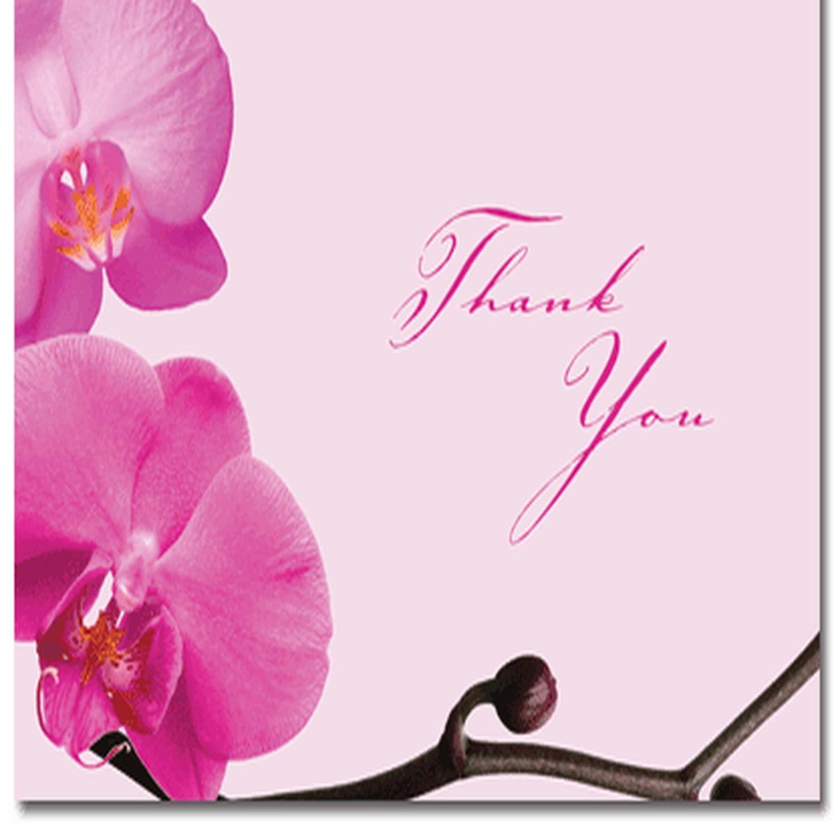 Pink Orchids Thank You Note Cards & Envelopes