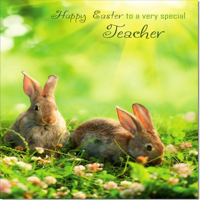 Teacher Easter Card Two Bunnies on Grass